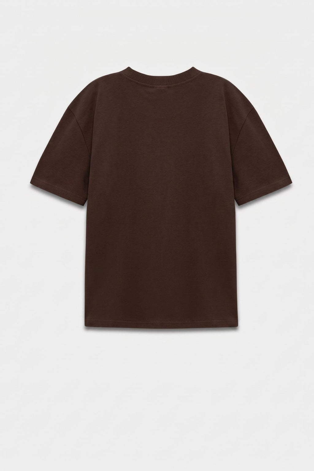 Kadın Bisiklet Yaka Pamuklu Oversize Relaxed Kısa Kol T-shirt Kahverengi